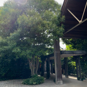 ガーデン|752689さんのラ・クラリエールの写真(2481804)
