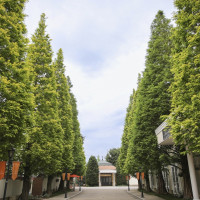 外観ですがここは夜になるとイルミネーションがすごく綺麗です