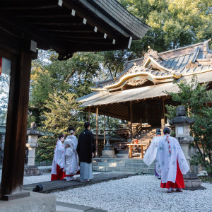 本殿|752817さんの川越氷川神社・氷川会館の写真(2492721)