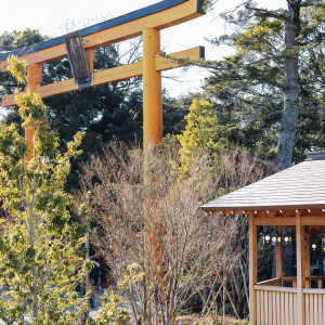 鳥居と回廊|752817さんの川越氷川神社・氷川会館の写真(2492719)