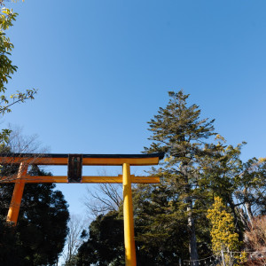 鳥居|752817さんの川越氷川神社・氷川会館の写真(2490039)