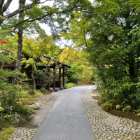 庭の風景と調和する温もり