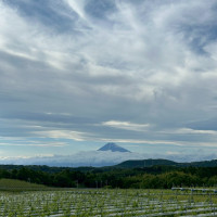 富士山がちらり