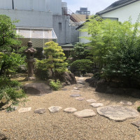 庭