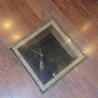 鯉が床からも見えます