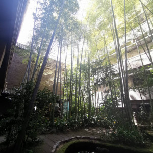 庭|753187さんのフォーチュンガーデン京都（FORTUNE GARDEN KYOTO）の写真(2465670)