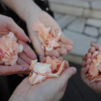 フラワーシャワーのお花