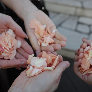 フラワーシャワーのお花|753309さんのシェラトン・グランデ・トーキョーベイ・ホテルの写真(2615655)