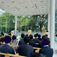 緑が綺麗です