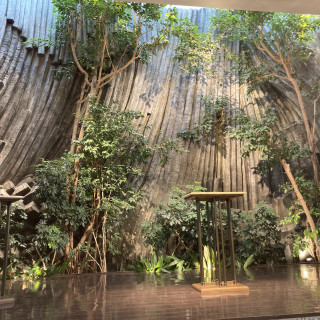 チャペル見学(本物の石と樹木)
