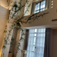 緑の蔦がナチュラルな雰囲気です。