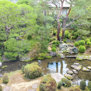 庭園|753593さんの桜鶴苑の写真(2472508)