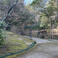 夜になったらイルミネーションがつくよう装飾されています。