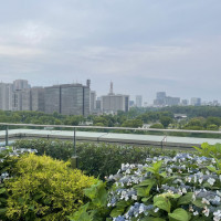 チャペルの外から見える景色