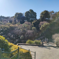 庭園