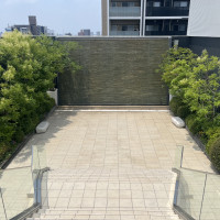晴れの日の大階段