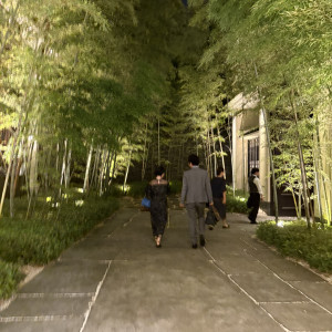 入口付近は竹で緑に溢れていました|754105さんの横浜迎賓館の写真(2533808)