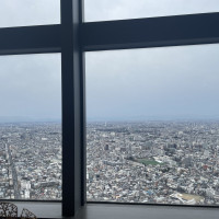 窓からの景色