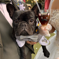 オリジナルカクテルを作って頂きました。