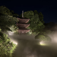 定刻になると、雲海が出現します。
