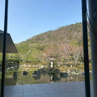 この見た目から数ヶ月で緑が満開に！
いくたびに見た目が変わり