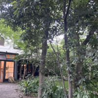 外観。緑でいっぱいです。