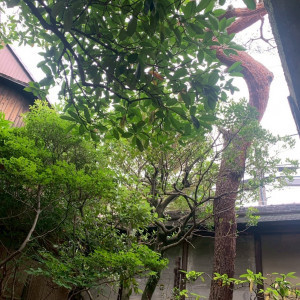 緑豊かな会場です|754658さんのアカガネリゾート京都東山（AKAGANE RESORT KYOTO HIGASHIYAMA）の写真(2472350)