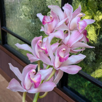 ダーズンフラワーセレモニーのお花