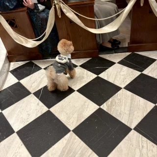 チャペル
