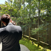 庭、ガーデンの緑