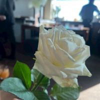 ダーズンローズにて使用