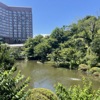 綺麗な日本庭園