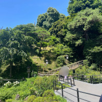 都内とは思えない幻想的な庭園