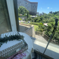 庭園とウェディングケーキ