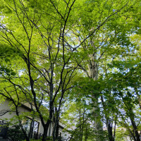 自然に囲まれて軽井沢の魅力を体感できると思います！