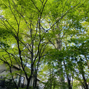 自然に囲まれて軽井沢の魅力を体感できると思います！|755058さんの旧軽井沢KIKYOキュリオ・コレクションbyヒルトン(元:旧軽井沢ホテル)の写真(2474582)