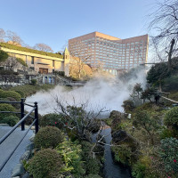 1月のお庭です。緑は少ないですが皆喜んでいました。