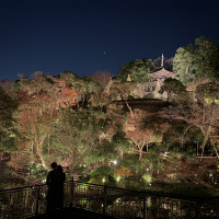 夜の椿山荘お庭です