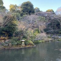 集合写真撮影のバックになるお庭です（1月）