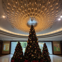 12月にはバンケット塔入り口に大きなクリスマスツリーが出ます