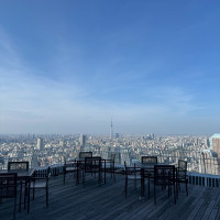 47階からの景色