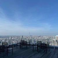 47階からの景色
