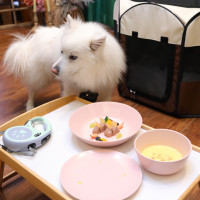 ペット用コース料理