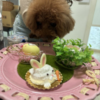 デザート