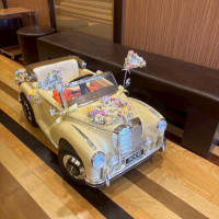 リングカー