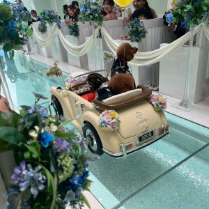 リングカー|758231さんのPOPCORN KOBE (ポップコーン神戸)の写真(2476041)