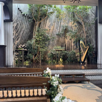 挙式会場
本物の緑と岩