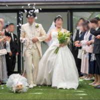 フラワーシャワーができるガーデン