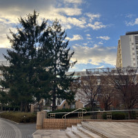チャペル外の景色