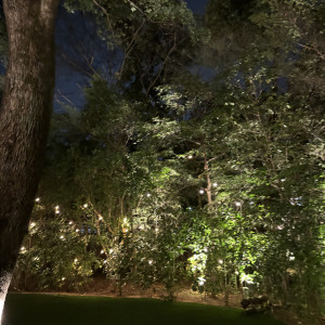 夜のガーデンの風景。|758440さんのTHE NANZAN HOUSE （ザ ナンザン ハウス）の写真(2476844)